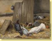 van den EYCKEN Marie 1800-1900,Dans le pigeonnier,1882,Horta BE 2008-09-08