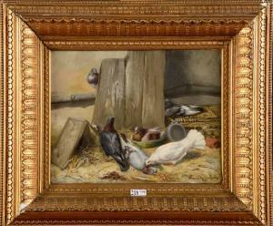 van den EYCKEN Marie 1800-1900,Pigeons,1882,VanDerKindere BE 2014-01-14