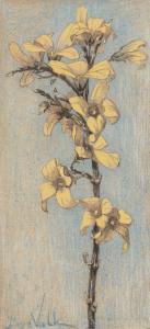 Van Der VALK Maurits 1857-1935,A forsythia branch,Christie's GB 2011-11-15