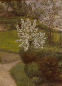 van DEURS Caroline 1860-1932,Blossoming Tree,1910,William Doyle US 2008-09-10