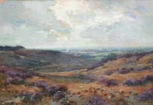 van DOREN Emile 1865-1949,En vue des grands marais,Horta BE 2021-11-15