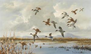 VAN HOWD Douglas 1935,Ducks in flight over a marsh,Bonhams GB 2020-08-04