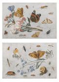 van KESSEL Jan I,STUDY OF INSECTS, BUTTERFLIES AND A SNAIL WITH A S,1659,Sotheby's 2013-07-03