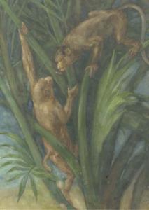 VAN NIFTERIK Christiaan 1872-1936,Quarelling monkeys in the forest,1894,Christie's GB 2006-01-10