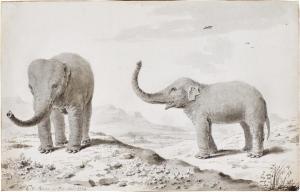 van NOORDE Cornelis 1731-1795,Two elephants,1774,Sotheby's GB 2023-01-25