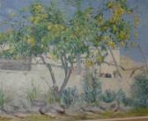VAN OYEN Dorine 1887,Lemon tree,Matsa IL 2017-05-25