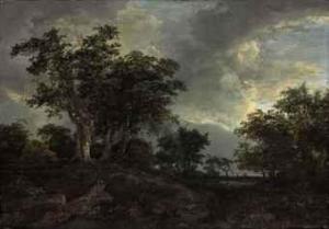 van RUISDAEL Jacob Isaaksz 1628-1682,A wooded landscape with a pond,Christie's GB 2011-01-26