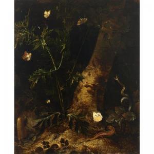 van SCHRIECK Otto Marseus Snuff 1619-1678,A FOREST FLOOR  STILL LIFE WITH A SALAMANDER, S,Sotheby's 2007-03-27