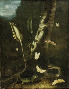van SCHRIECK Otto Marseus Snuff 1619-1678,A forest floor with a lizard, a snake and butt,Christie's 2009-05-06