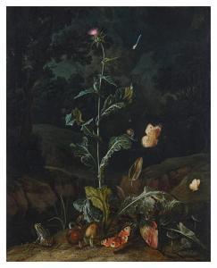 van SCHRIECK Otto Marseus Snuff 1619-1678,Nocturnal forest floor still life with a thistl,Sotheby's 2023-05-25