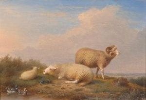 van severdouk francois,Study of a ram, ewe, and a lamb on a
moorland rise,Morphets 2009-09-10