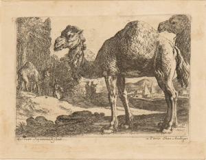 van SWANEVELT Hermann 1600-1655,Due cammelli,Bertolami Fine Arts IT 2024-02-20