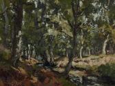 van VUUREN Jan 1871-1941,Stream in a forest,Glerum NL 2010-09-06