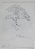 VARLEY Cornelius 1781-1873,A tree in Norfolk,1801,Woolley & Wallis GB 2009-12-02