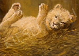 VASTAGH Geza 1866-1919,Lion Cub,Kieselbach HU 2023-12-17