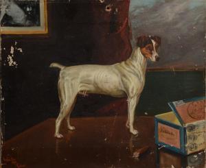 VAUGHAN David,Portrait of the terrier Vigilant,David Lay GB 2017-07-27