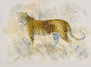 VAUGHAN Patricia Mary 1922,Leopard Morning,5th Avenue Auctioneers ZA 2022-12-04