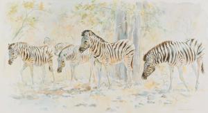 VAUGHAN Patricia Mary 1922,Zebra Moving to Water,Strauss Co. ZA 2021-07-11