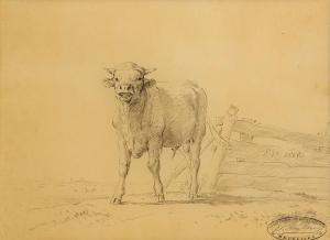 VERBOECKHOVEN Eugene Joseph 1799-1881,Cow Lowing,1868,Morgan O'Driscoll IE 2024-04-15