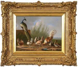 VERHOESEN Albertus,Peacock, Rooster, Chickens, and Ducks at the Edge ,1868,Brunk Auctions 2024-01-10