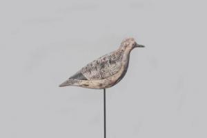 VERITY Obediah 1813-1901,Black-Bellied Plover,1880,Copley US 2022-03-04