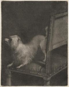 VERKOLJE Nicholas 1673-1746,Der weiße Hund,Galerie Bassenge DE 2023-06-07