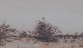VERMEULEN B,Namib desert,1976,Golding Young & Mawer GB 2016-02-17