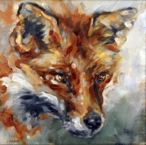 VERNON JULIE 1964,fox portrait,Warren & Wignall GB 2016-12-07