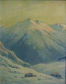 VIAL F 1900-1900,CHILEAN LANDSCAPES,Freeman US 2005-01-21