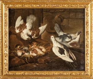 VICTOR Jacobus 1640-1705,Piccioni con nidiata in un interno,Boetto IT 2017-12-04