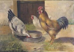 VILA R,Three chickens feeding,Woolley & Wallis GB 2011-03-23