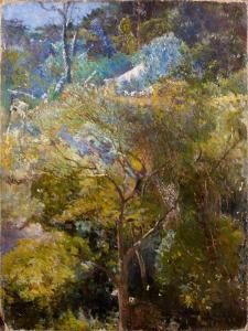 VISCONTI Eliseo 1867-1944,Le jardin tropical,Aguttes FR 2013-04-03