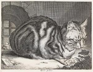 VISSCHER Cornelis I 1520-1586,The Large Cat,1657,Swann Galleries US 2023-05-11