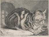 VISSCHER Cornelis 1629-1658,The Large Cat,1657,Bonhams GB 2018-10-23