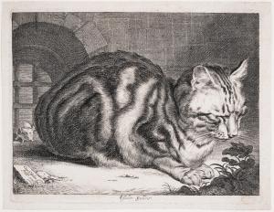 VISSCHER Cornelis 1629-1658,The Large Cat,1657,Forum Auctions GB 2024-03-12