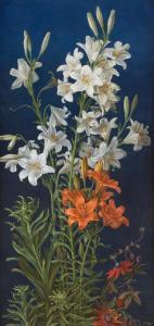 VOELCKER Gottfried Wilhelm 1775-1849,Rising lilies,Hargesheimer Kunstauktionen DE 2018-09-22