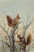 VOGELI EMMA JOHANNA,Squirrels in hazelnut tree,Galerie Koller CH 2016-09-23