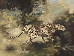 VOIGT Leigh 1943,Cheetah,Strauss Co. ZA 2024-02-19