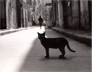 VOINQUEL Raymond 1912-1994,Le chat noir,1922,Yann Le Mouel FR 2017-12-15