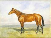 VOLKERS Karl 1868-1949,Cavallo da corsa,Von Morenberg IT 2009-04-24