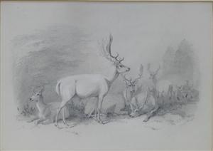 VOLTZ Ludwig Gustav 1825-1911,Rotwildgruppe an einer Waldlichtung,1852,Georg Rehm DE 2021-12-09