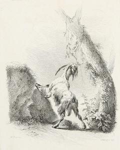 von BARTSCH Adam,Ziegenbock am Felsen - Drei liegende Schafe,1805,Winterberg Arno 2021-04-24
