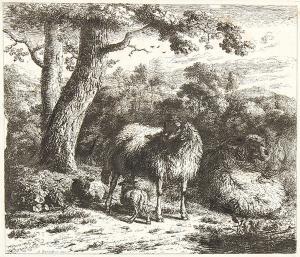 von BARTSCH Adam,Zwei Schafe und zwei Lämmer - Liegendes Schaf mit ,Winterberg Arno 2021-04-24