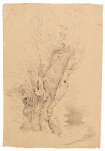 von BLAAS Carl 1815-1894,A landscape study with a tree,Palais Dorotheum AT 2015-09-30