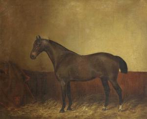 von BLAAS Julius 1845-1922,"Boy" Bay horse standing in a stable,1873,Tennant's GB 2023-10-14