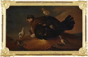 von CÖLN David 1689-1763,Höns med kycklingar,Stockholms Auktionsverket SE 2017-12-12