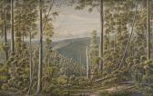 VON GUERARD Eugen Johann Joseph 1811-1901,Forest, Cape Otway Ranges,Leonard Joel AU 2019-09-11