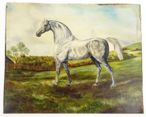 VON KUNSBERG Ludwig,stallion in a field,Eastbourne GB 2015-11-12