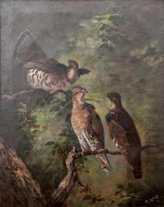 von LUERZER Frederick 1858-1917,Birds,1895,Stair Galleries US 2015-05-15