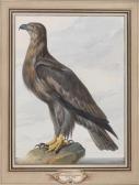 von MANNLICH Christian 1741-1822,A sea-eagle on a ledge,Palais Dorotheum AT 2016-09-29